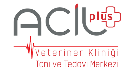biVet